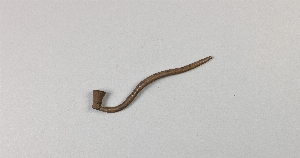 A1555