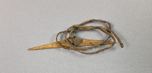 A1567