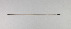A1569