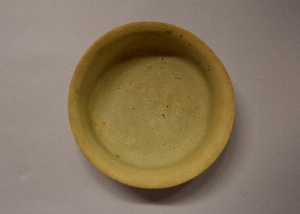 MS294