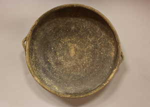 MS295B