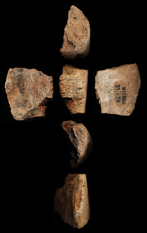 37-7-38