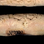 715784