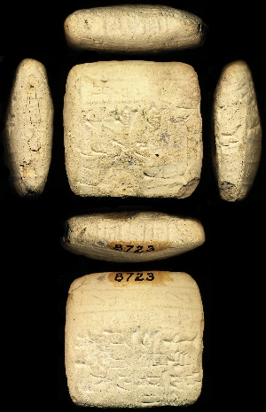 CBS8723