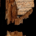 716443