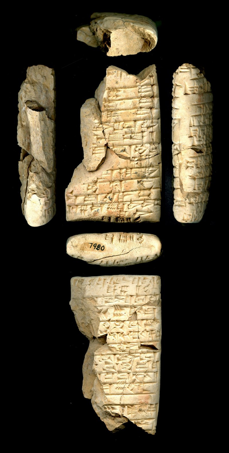 716529