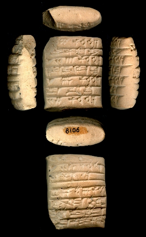 CBS8106