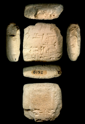 CBS8192