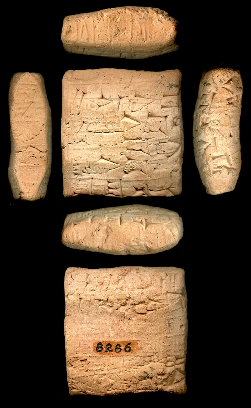 716591