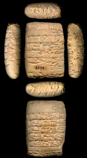 CBS8293