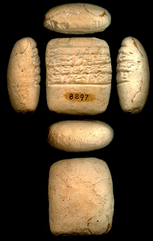CBS8297
