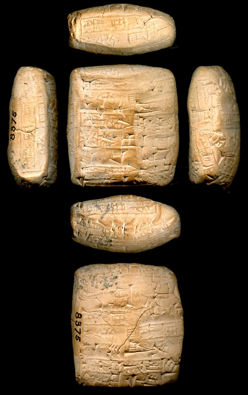 716629