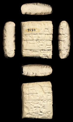 CBS9193