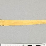 717086