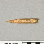 717261