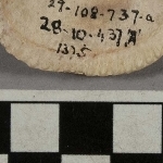 717361