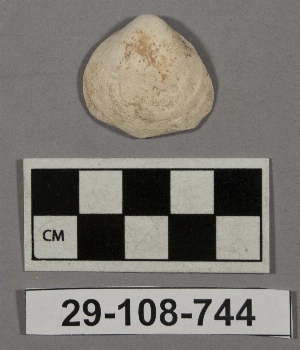29-108-744