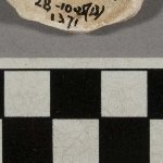 717363