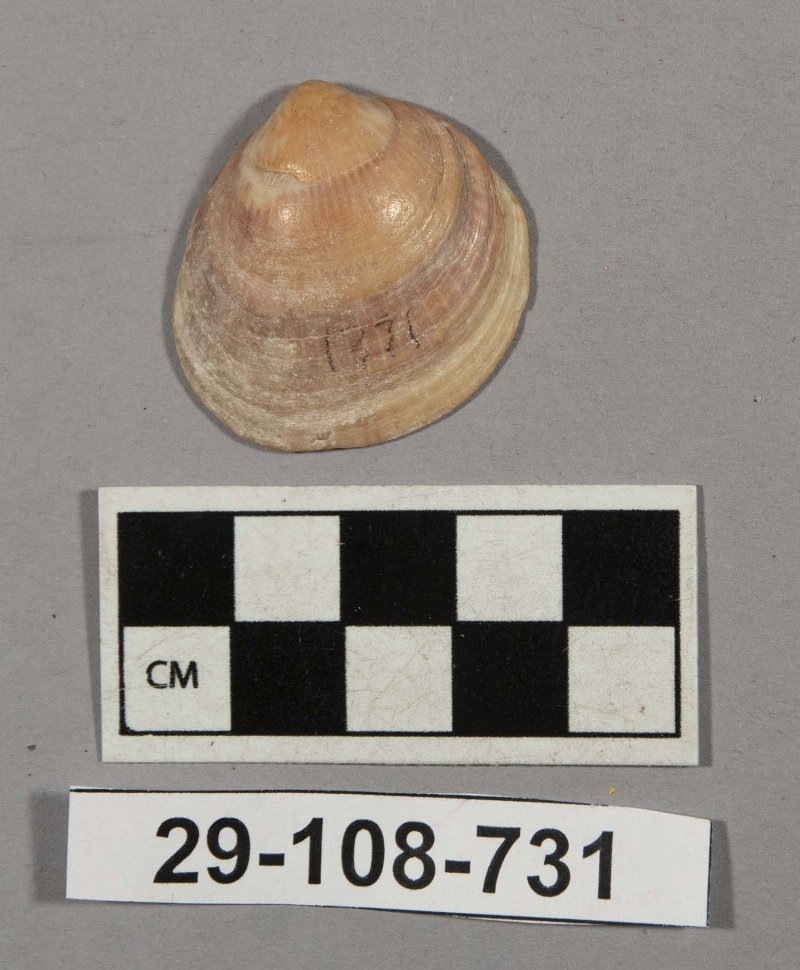 717373