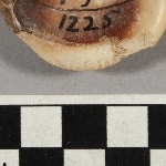 717376