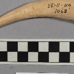 717404