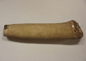 MS490