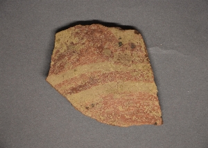 MS487