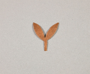 29-10-21B