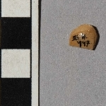 727812