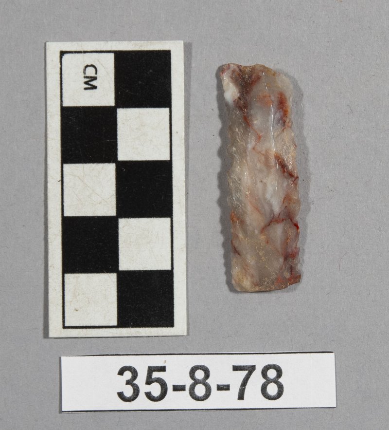 729339