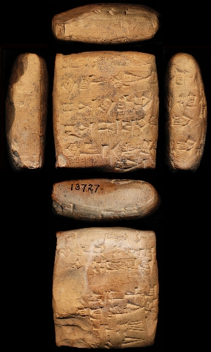 CBS13727