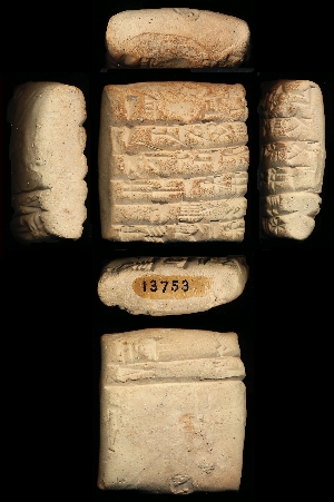 CBS13753