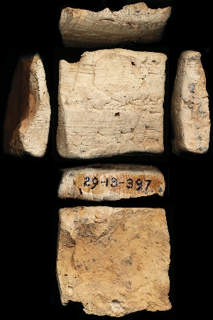 29-13-397