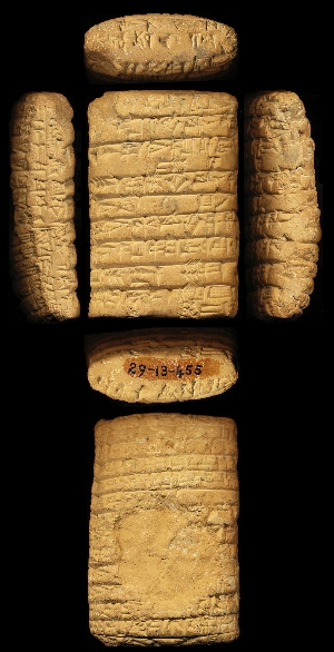 29-13-455