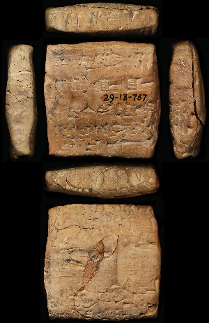 29-13-757