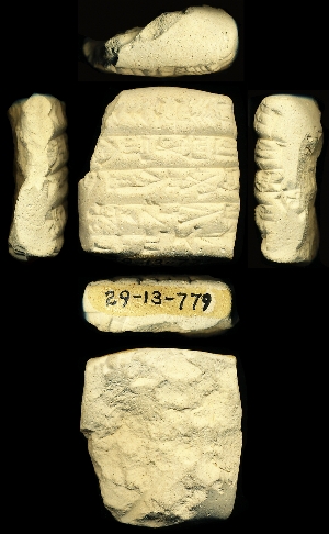29-13-779