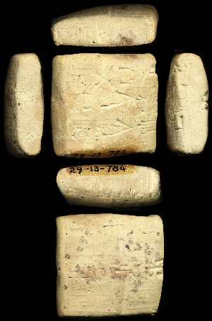 29-13-784