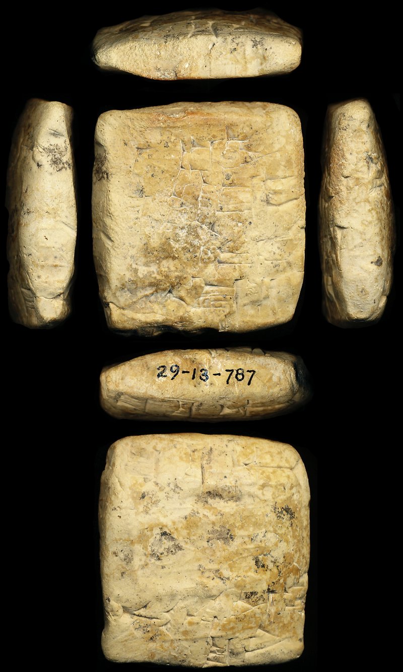 731323
