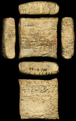 29-13-796