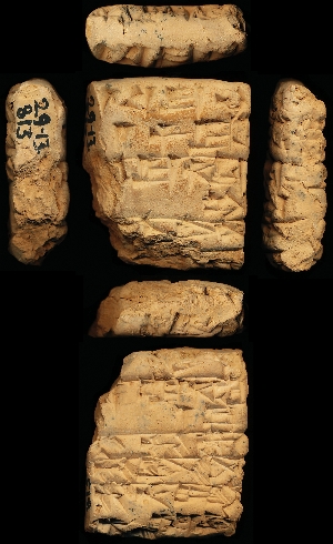 29-13-813