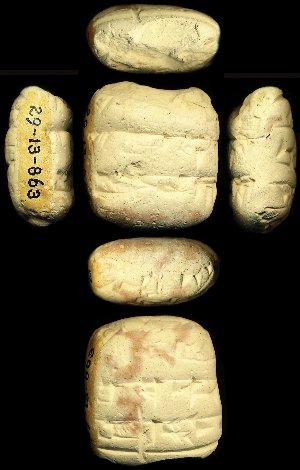 29-13-863