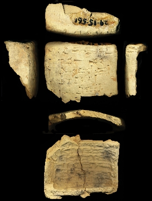 29-15-561