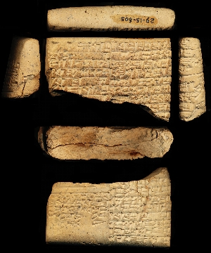29-15-603