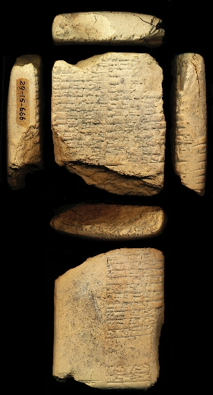 29-15-666