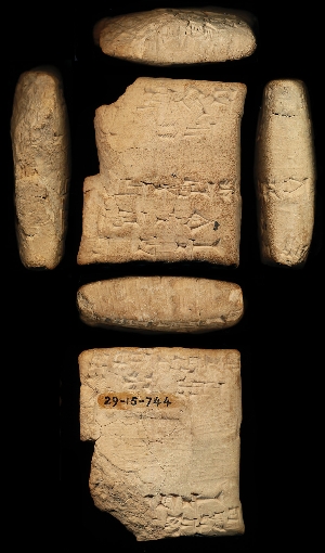 29-15-744