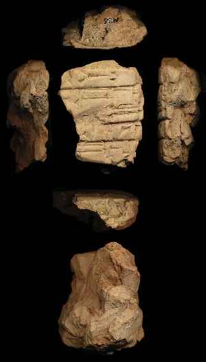 N36