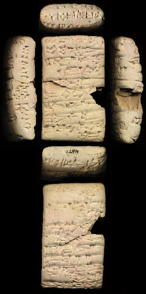 N677