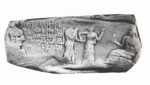 N798