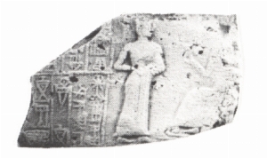 N1197