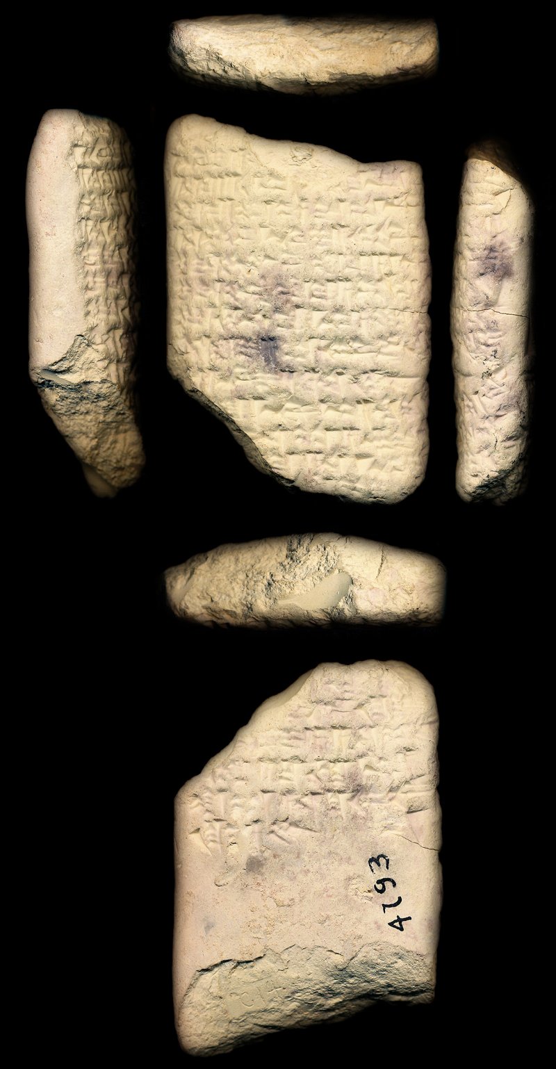 732516